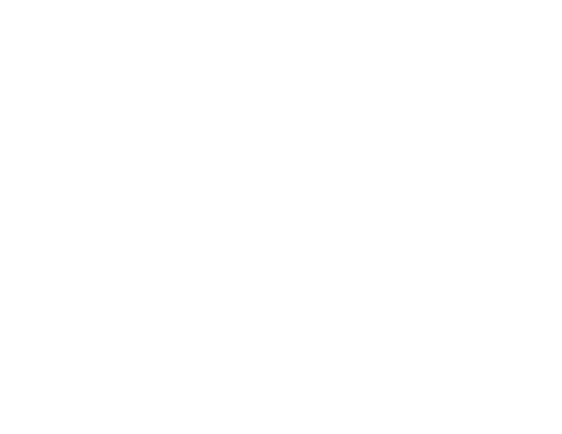 The Mortgage Collective